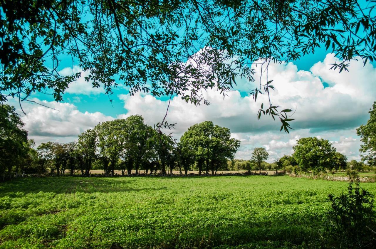 Corrib View Appartamento